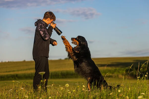 Boy Hovie Two Friends Dog Jumping Young Photographer — Foto de Stock
