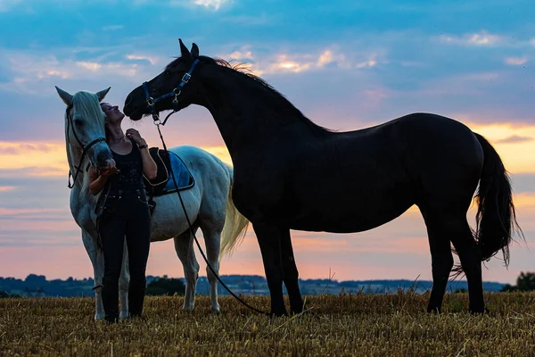 Beautiful Woman White Horse Black Frieze — Stockfoto