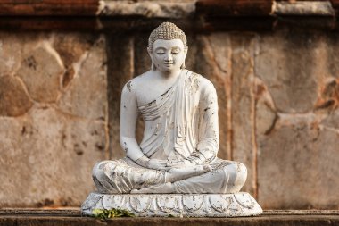 Tapınakta Buda heykeli 