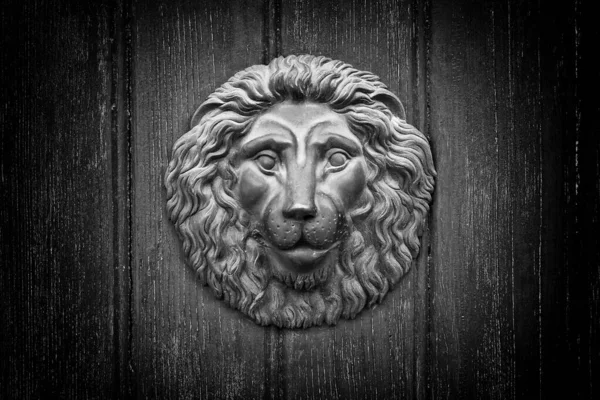 Metal Knocker Antic Door — Fotografia de Stock