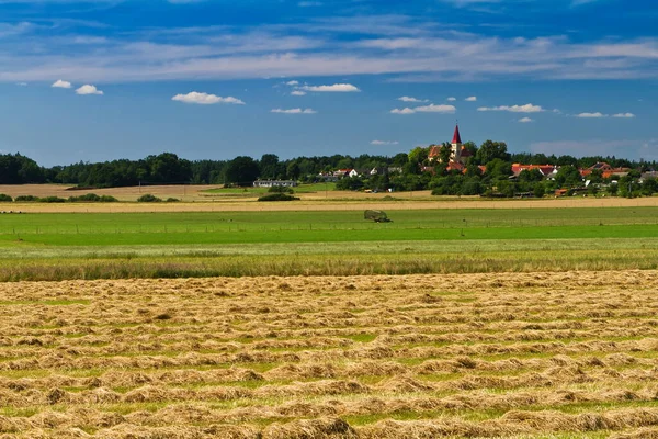 Schöne Landschaft Mit Einem Weizenfeld Und Einem Bewölkten Himmel — Stockfoto