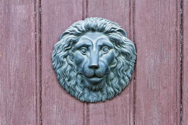 Metal Knocker Antic Door — Foto Stock