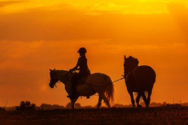 silhouette of a woman riding a horse when the sun goes down