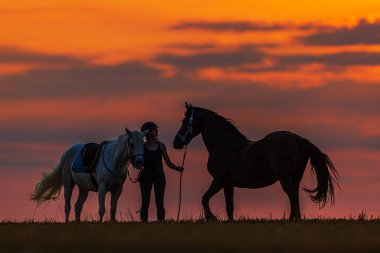 silhouette of a woman with the two horses at sunset