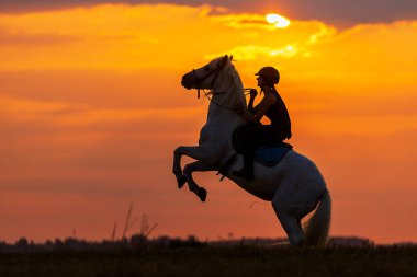 silhouette of a woman on a horse that rears up with the western sky