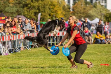 PRAGUE, Çek Cumhuriyeti - 28 Eylül 2019 Uluslararası Hayvan Günü 'nü kutluyoruz. Köpeğin gösterisi.