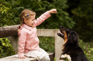 Parkta köpeği olan güzel bir kız