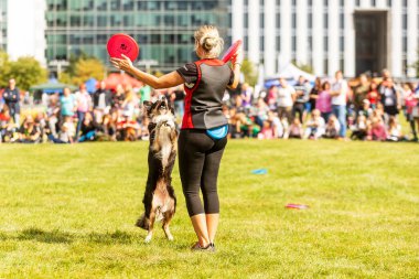 PRAGUE, Çek Cumhuriyeti - 28 Eylül 2019 Uluslararası Hayvan Günü 'nü kutluyoruz. Köpeğin gösterisi.