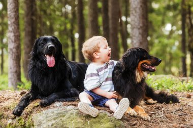 Çocuk ve köpek, tatlı çocuk ormanda iki Hovie ile oynuyor.