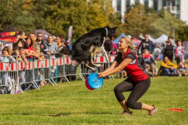 PRAGUE, Çek Cumhuriyeti - 28 Eylül 2019 Uluslararası Hayvan Günü 'nü kutluyoruz. Köpeğin gösterisi.