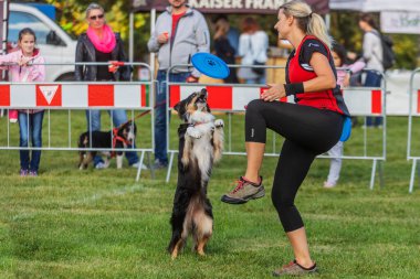 PRAGUE, Çek Cumhuriyeti - 28 Eylül 2019 Uluslararası Hayvan Günü 'nü kutluyoruz. Köpeğin gösterisi.