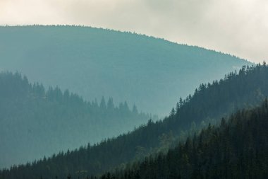 Yeşil sisli dağlar, doğa
