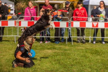 PRAGUE, Çek Cumhuriyeti - 28 Eylül 2019 Uluslararası Hayvan Günü 'nü kutluyoruz. Köpeğin gösterisi.