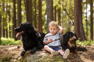 Çocuk ve köpek, tatlı çocuk ormanda iki Hovie ile oynuyor.