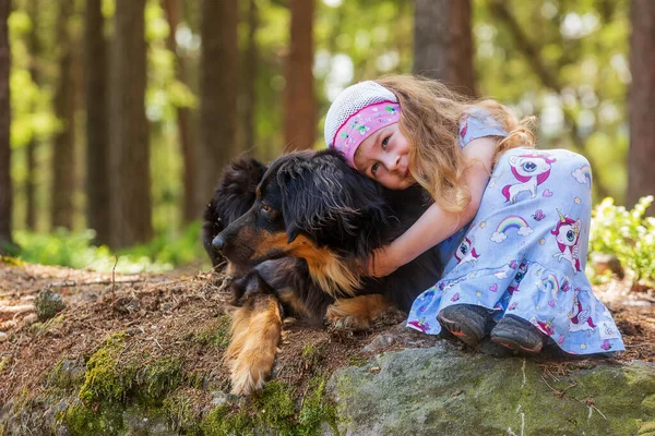 Menina Bonita Com Cão Parque — Fotografia de Stock