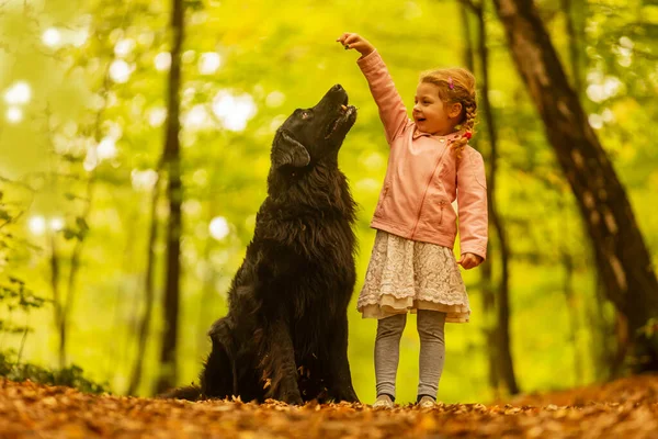 Schönes Mädchen Mit Hund Park — Stockfoto