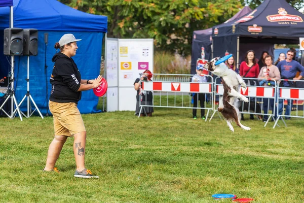 Praga Republica Cehă Septembrie 2019 Sărbătorirea Zilei Internaționale Animalelor Demonstrarea — Fotografie, imagine de stoc