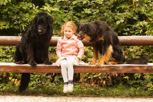 Hermosa Chica Con Perros Parque — Foto de Stock