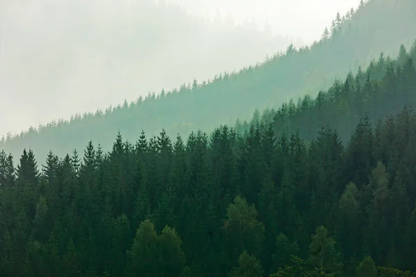 Verde Niebla Montañas Naturaleza — Foto de Stock