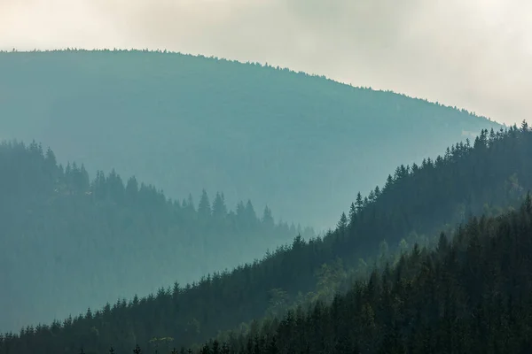 Verde Niebla Montañas Naturaleza — Foto de Stock