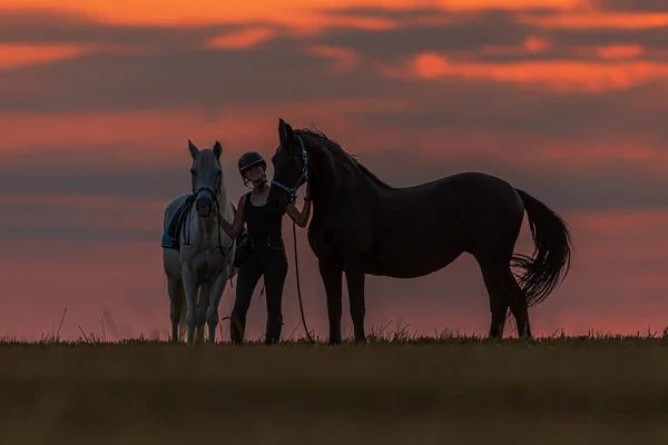 Young Woman White Black Horses Sunset Together Horizon — Stock Photo, Image