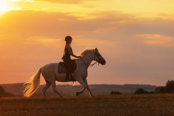 Uma Jovem Mulher Monta Cavalo Branco Pôr Sol Campo Vazio — Fotografia de Stock