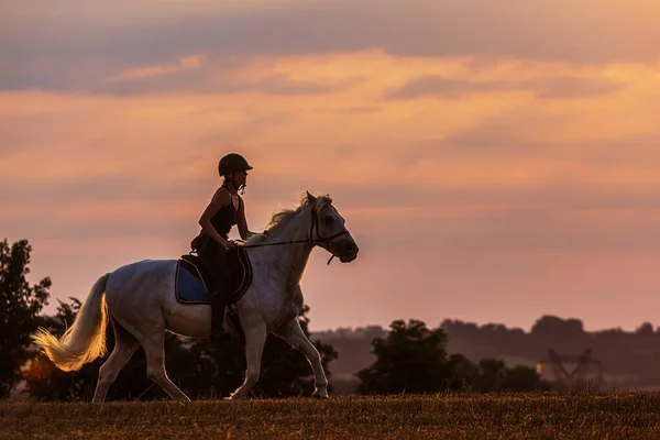 Una Giovane Donna Cavalca Cavallo Bianco Tramonto Paesaggio Vuoto — Foto Stock