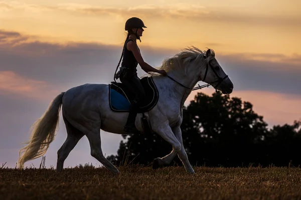 Young Woman Rides White Horse Sunset — стоковое фото
