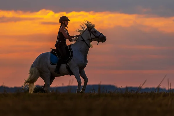 日没時の乗馬用のライダーギャロップとシルエットだけが表示されます — ストック写真