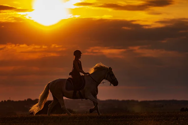 Durante Pôr Sol Cavaleiro Galopa Seu Cavalo Apenas Silhueta Visível — Fotografia de Stock