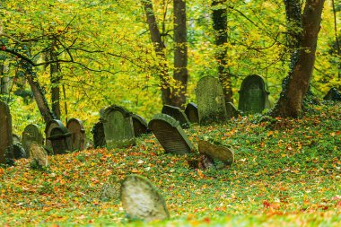 Yahudi mezarlığı, Çek Cumhuriyeti 'nin Pardubice Bölgesi' nin Chrudim ilçesine bağlı Luze kasabasının bir kilometre doğusunda yer almaktadır.