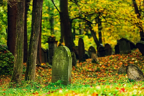 Der Jüdische Friedhof Befindet Sich Einen Kilometer Östlich Der Stadt — Stockfoto