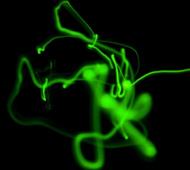 koyu arka plan üzerinde özet satırı