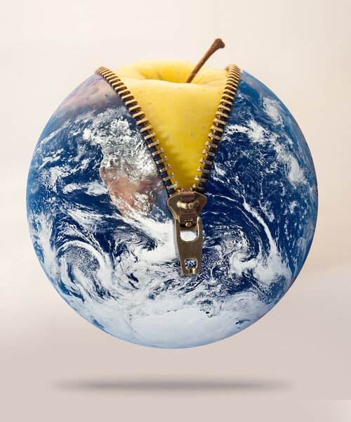 World of apples, fruit