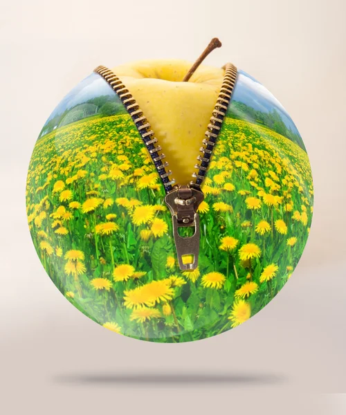Apfel eingetaucht in die Natur — Stockfoto