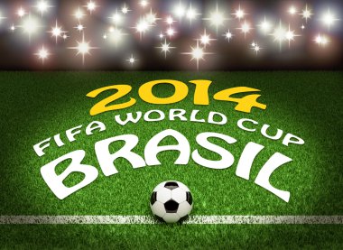 Dünya Kupası 2014