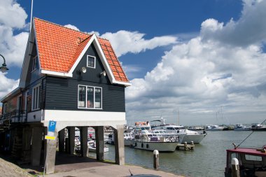 Harbour tekneler