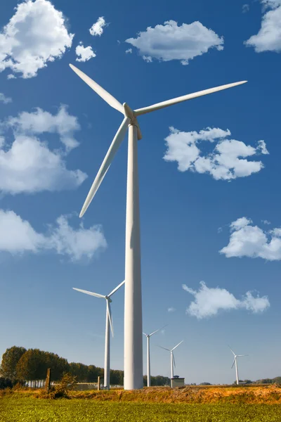 Windmolen — Stockfoto