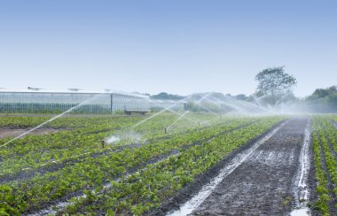 watering crops clipart