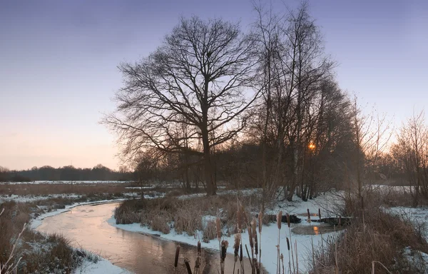 Winter landscape — Stock Photo, Image