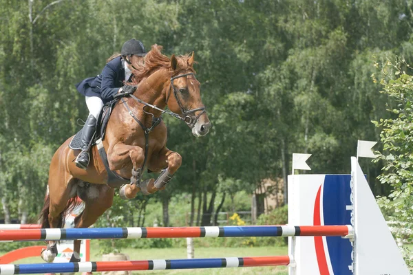 Equestrian event — Stock Photo, Image