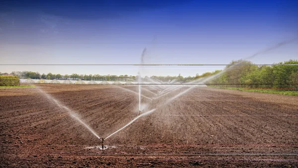 Irrigação — Fotografia de Stock