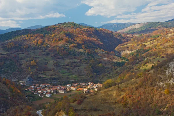 Bosque de otoño — Foto de Stock