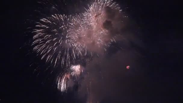 Fogos de artifício coloridos sobre um céu noturno — Vídeo de Stock