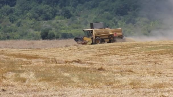 Moderne combine harvester op het werk — Stockvideo