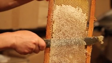 arıcı mührü açma petek