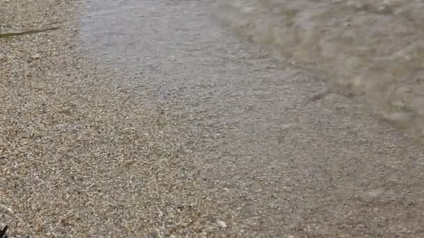 Olas en la playa — Vídeos de Stock