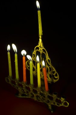 Hanuka candles in hanukkiya clipart