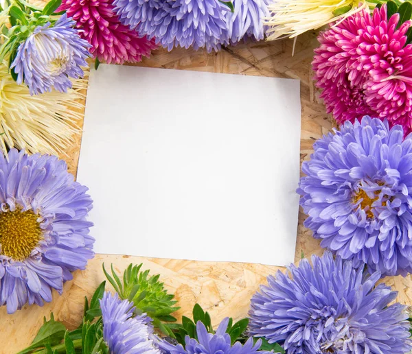 Üdvözlő Keret Készült Aster Virágok Egy Háttér Stock Kép