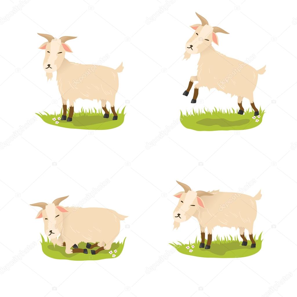 Set of cute vector goats